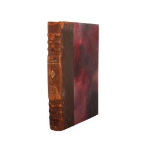 Guide du Nil au Jourdain par le Sinaï et Pétra by P. Barnabé Meisstermann